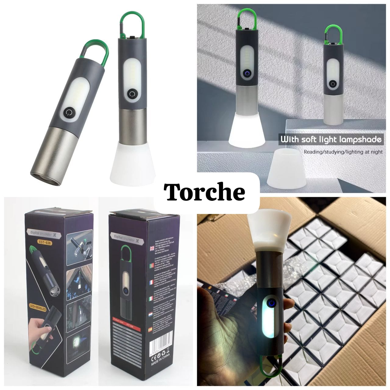 Torche