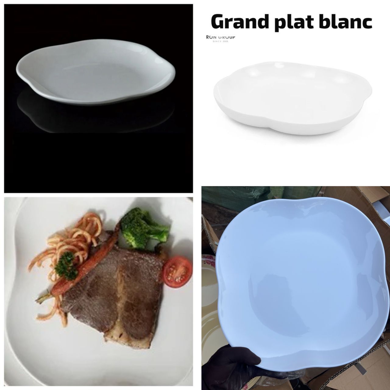 Grand plat lot de 6 pcs